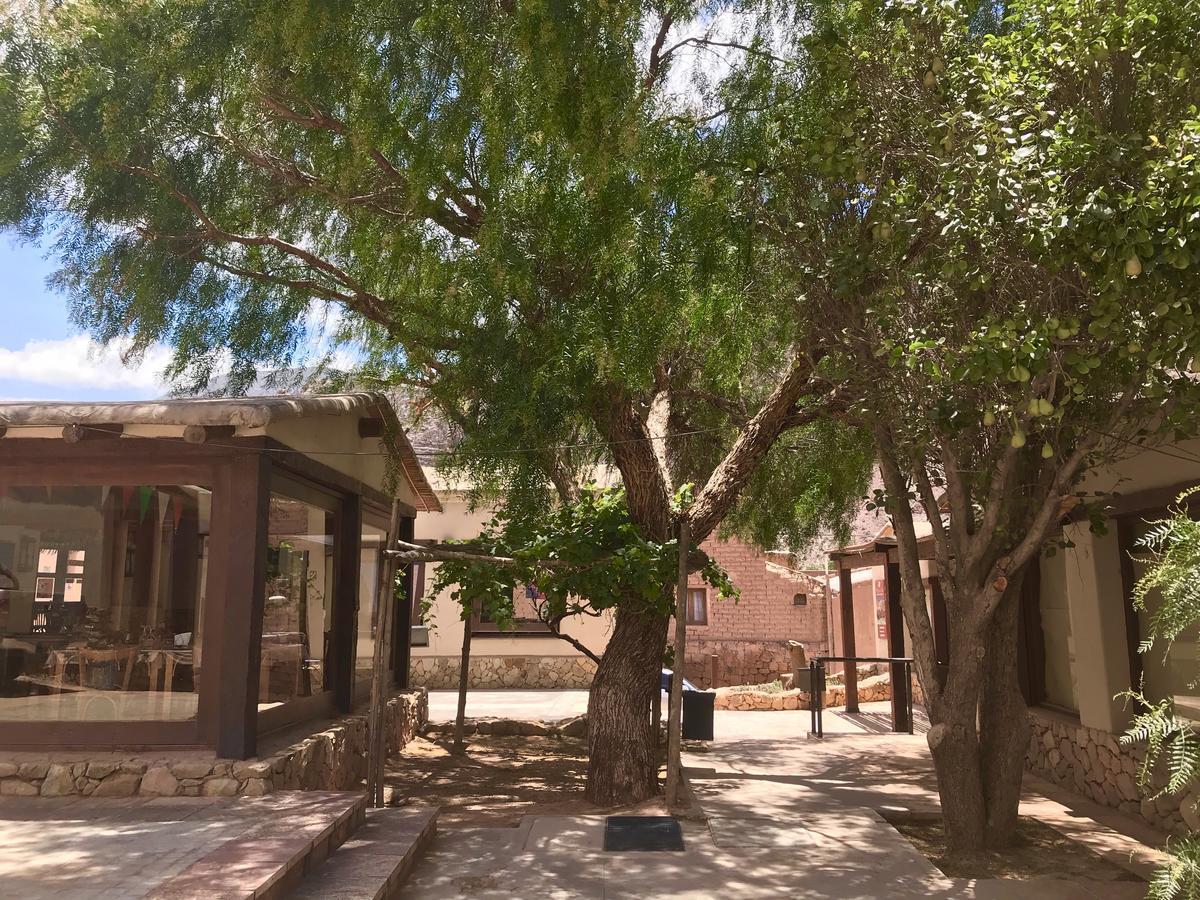 Las Vicunas Departamentos Purmamarca Exterior foto